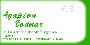 agapion bodnar business card